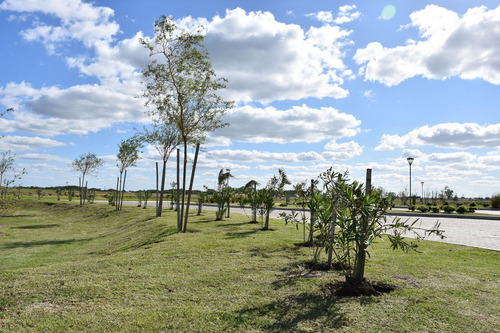 Lote/terreno En Venta Barrio Santa Clara Al Sur