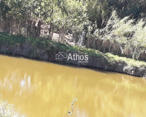 Imagem 16 de 16 de Vendo Sitio Em Elias Afusto - St00030 - 69569323