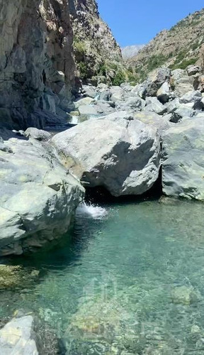 Los Queñes Cordillera Río Teno Reserva Ecológica 4.700 Hás.