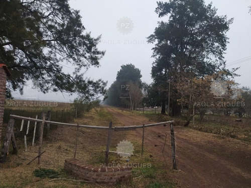 Imagen 25 de 25 de Terreno Campo En Venta En Berazategui, G.b.a. Zona Sur, Argentina