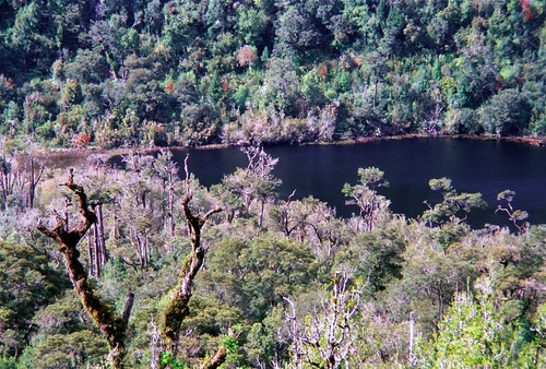 Agrícola En Venta En Hualaihue