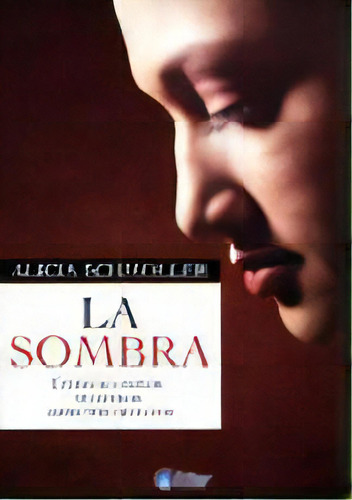 La Sombra: Como Iluminar Nuestros Aspectos Ocultos: Cómo Iluminar Nuestros Aspectos Ocultos, De Alicia Schmoller. Editorial Kier, Edición 1 En Español, 2008