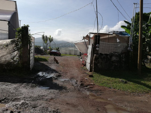 Terreno Urbano En Pedregal De Las Fuentes, Jiutepec, Morelos - Ari-607-tu