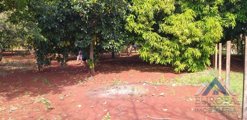 Chácara Com 2 Dormitórios À Venda, 3000 M² Por R$ 300.000,00 - Gaspareto - Alvorada Do Sul/pr - Ch0111