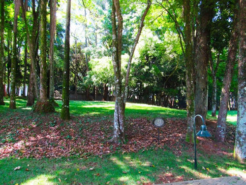 Imagem 4 de 27 de Terreno-são Paulo-alto Da Boa Vista | Ref.: Reo36289 - Reo36289