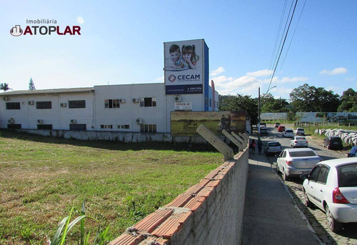 Imagem 3 de 6 de Terreno À Venda, 1255 M² Por R$ 3.100.000,00 - Centro - Camboriú/sc - Te0063