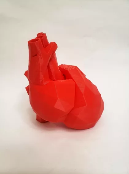 Coração Geométrico Decoração Anatomia Medicina 12cm 3d