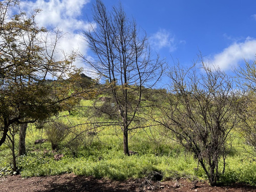 Las Brisas De Chicureo, Lindo Terreno Con Vista Pr...