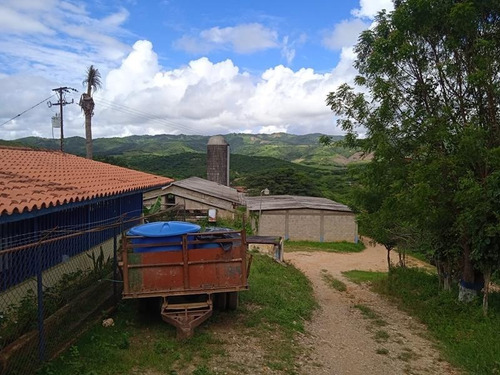 Imagen 5 de 14 de Venta Finca Estado Lara, Municipio Crespo