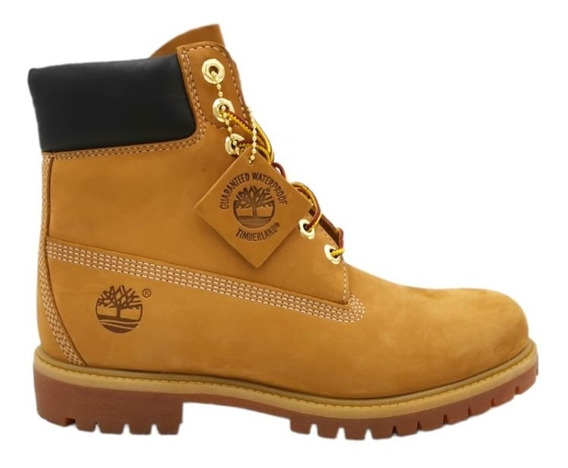 arbusto sin embargo maldición Botas Timberland Hombre | MercadoLibre 📦