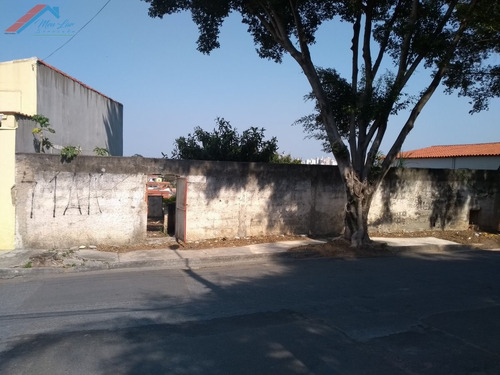 Terreno A Venda No Bairro Vila Haro Em Sorocaba - Sp. - Te 069-1