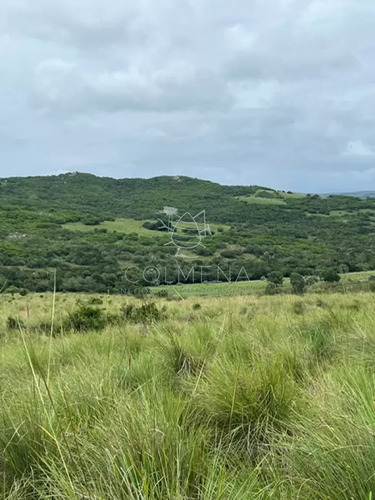 Campo En Paso De La Cantera