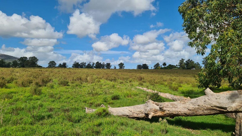 Chacras De 3 Hectáreas Sobre Ruta Interbalnearia Desde 95.000 Dólares, Oportunidad!