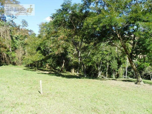 Imagem 17 de 20 de Terreno Residencial À Venda, Pedro Do Rio, Petrópolis. - Te0025