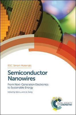 Libro Semiconductor Nanowires - Hans-jorg Schneider