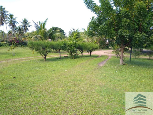 Granja A Venda Em Tibau Do Sul