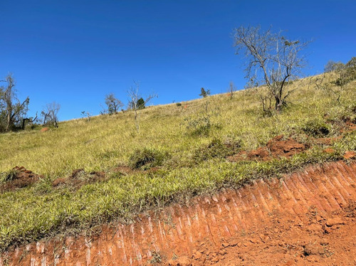 Imagem 13 de 14 de E18- Oportunidade ... Lotes De 2.500m2
