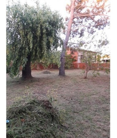 Imagen 7 de 8 de Casa De 3 Ambientes Edificada Sobre Lote De 487 Mtrs Cuadrados.