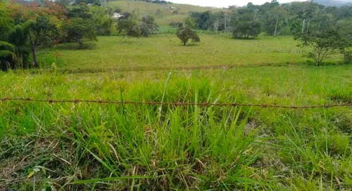 Vendo Finca Ganadera En Restrepo Valle