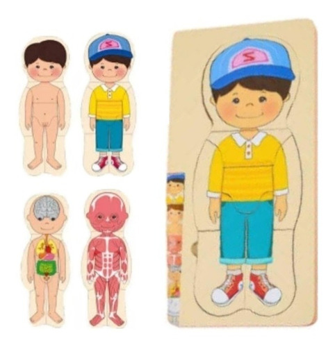 Rompecabezas  Puzzles De Cuerpo Niño Humano De Madera