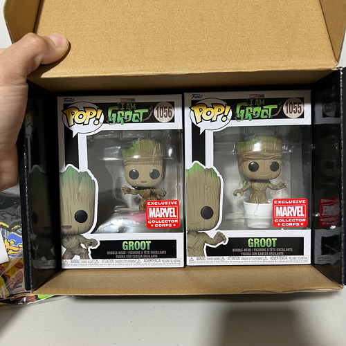 Funko Box Marvel Collector Corps Marvel Studios I Am Groot