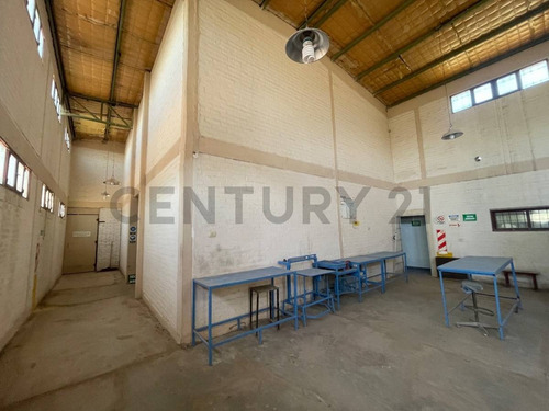 Imagen 5 de 10 de Century 21 Barroso Vende Galpon