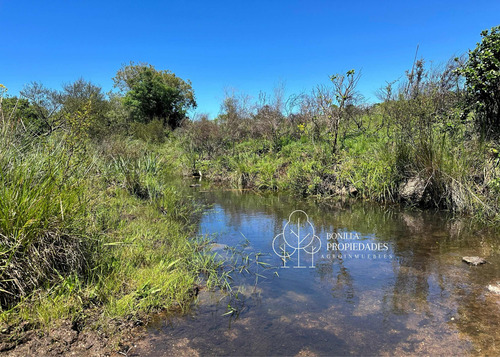 Campo 65 Hectáreas De Sierra, Ganadero. Buena Oportunidad