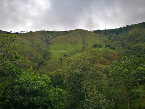 Se Vende Finca 400 Cuadras Toro Valle