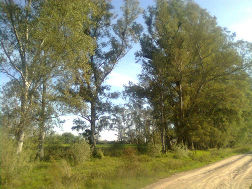 Terreno - Recreo
