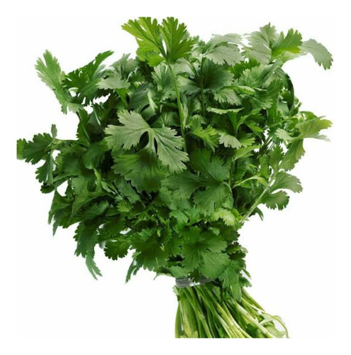 Semillas de cilantro verde - 500 grs de semillas
