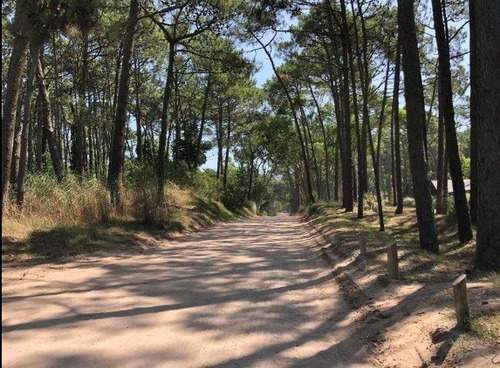Imagen 2 de 8 de Exclusivo Lote Sobre Av Divisadero Carilo