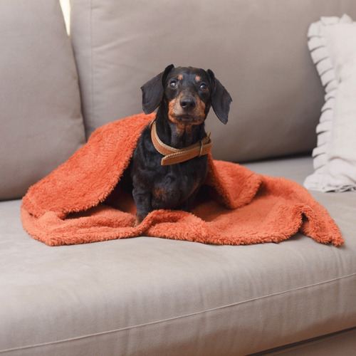 Manta Para Perro O Gato Súper Suave