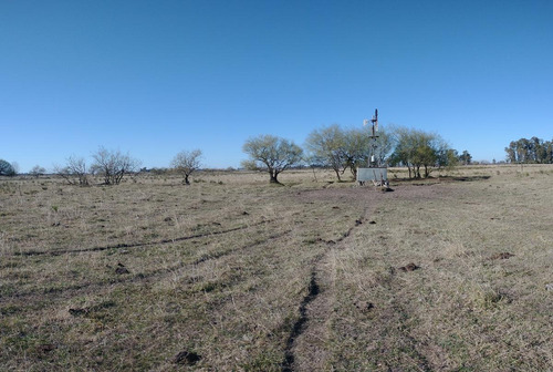 Imagen 14 de 15 de Campo - Zapiola