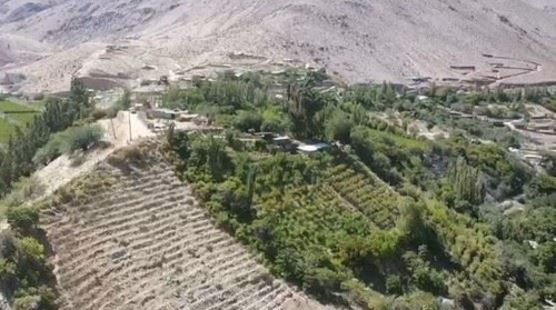 Terreno En Valle Del Elqui 5.000m2 Con 500 Árboles Frutales