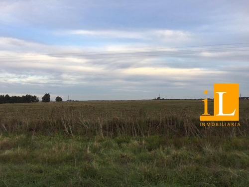 Hectareas Sobre Ruta 215 En Loma Verde