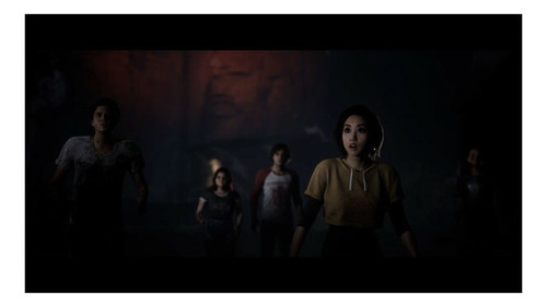 The Quarry (sellado De Fábrica) Playstation 5 (Usado)