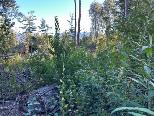 Lote Con Suave Pendiente Con Vista Al Lago Nahuel Huapi, Villa La Angostura