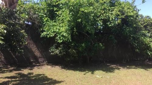 Excelente Chácara Com Piscina Em Itanhaém - 5997