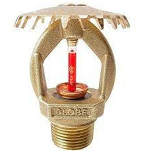 Sprinkler Upright Mont. 1/2 Qr 68/155  Brass Globeg561515501