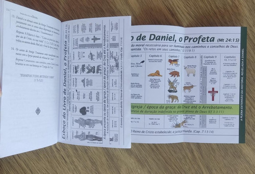 Estudos Sobre O Livro De Daniel - Com Esboço/ H. A. Ironside