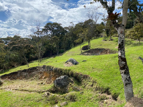 Lote Con Banqueo, Fácil Acceso Y Nacimiento De Agua