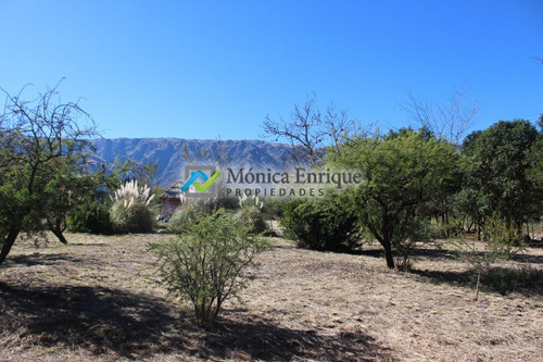 Lote De 1500m2 En Cerro De Oro, Sobre Calle Cuesta De La Granadilla