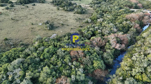 3 Hectáreas En Pueblo Edén Con Arroyo Y Monte Nativo