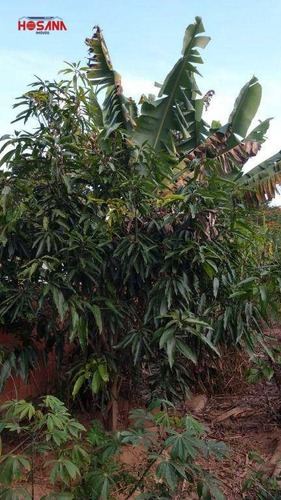 Imagem 10 de 30 de Chácara Com 1 Dormitório À Venda, 1025 M² Por R$ 250.000,00 - Chácaras Bom Tempo - Franco Da Rocha/sp - Ch0048