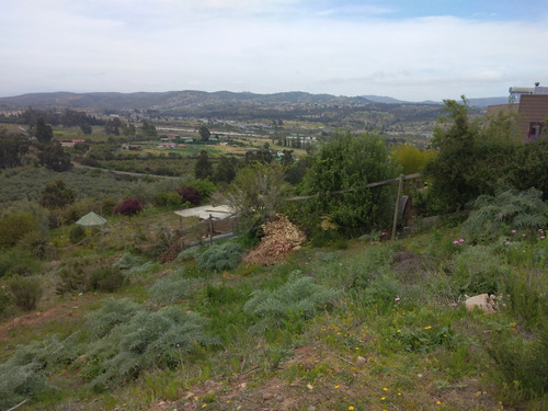 Sector Las Gaviotas