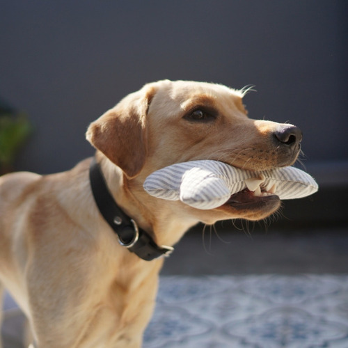 Juguete Para Perros T-bone Rayas Simple Pet