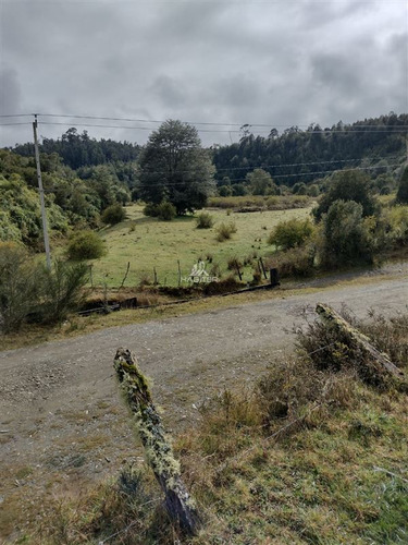 Imagen 22 de 30 de Agrícola En Venta En Ancud