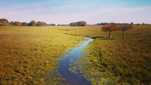 Campo En Venta De 50 Has En Carlos Keen - A 1 Hora De Caba