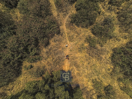 Terreno En Venta En Olivar Del Conde
