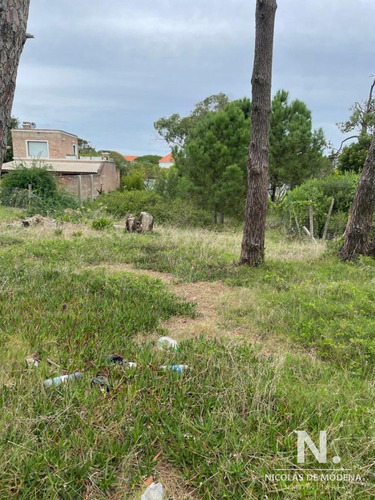 Terreno En Montoya